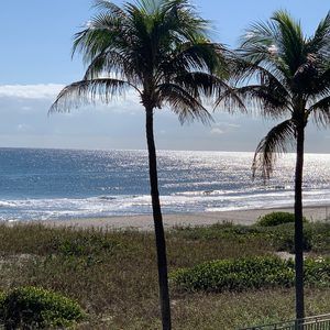 Meet your Posher, Lynn